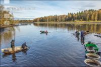 Karpfenteich abfischen 10