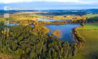 Waldviertler Teich 2