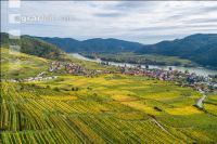 Wachau 38