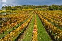 Wachau 27