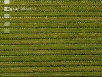 DJI 0040