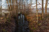 Kremsauen 18