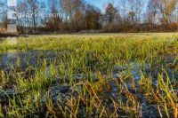 Kremsauen 5