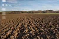 Bare fallow late autumn