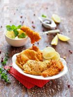 Verschiedene Schnitzel 1