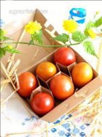 Osternest 4