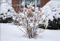 Weiße Ostern 1