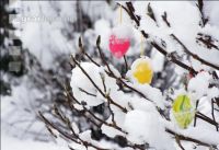 Weiße Ostern 3