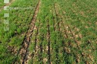 Liquid manure injector 29