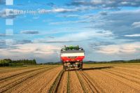 Maize mineral fertilizer 11