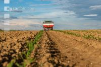 Maize mineral fertilizer 10