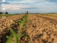Maize mineral fertilizer 8
