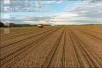Maize mineral fertilizer 7
