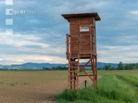 Hochstand 19
