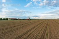 Maize mineral fertilizer 3