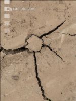 Soil crusted 5
