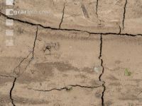 Soil crusted 4