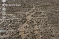 Wolkenbruch 6
