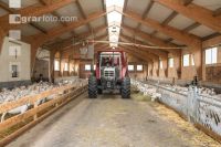 Milchziegen Silage 16
