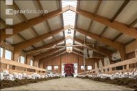 Milchziegen Silage 13