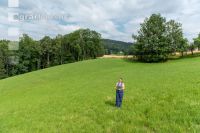 Permanent meadow in June1