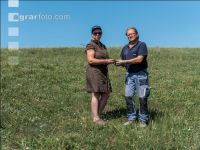 Drouhgt on grassland 13
