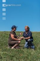 Drouhgt on grassland 11