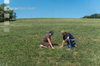 Drouhgt on grassland 5