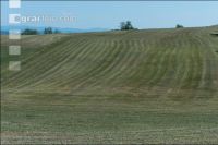 Drought on meadow 23