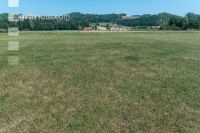Drought on meadow 7