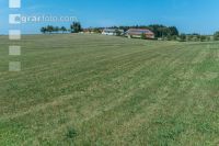 Drought on meadow 6