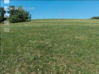 Drought on meadow 4