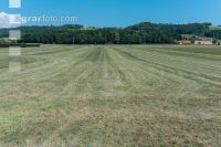 Drought on meadow 3