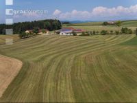 Drought on meadow 28