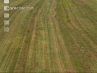 Drought on meadow 26