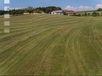 Drought on meadow 25