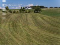 Drought on meadow 24