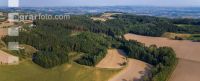 Reforestation 3