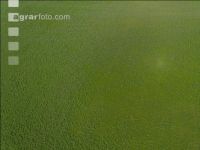 DJI 0039