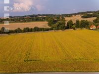 Soja Dürre 19