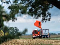 Maisvermehrung Ernte 30