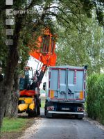 Maisvermehrung Ernte 24