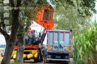 Maisvermehrung Ernte 23