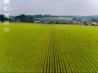 DJI 0050