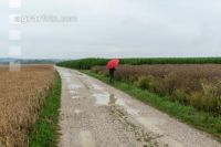 Rape and rain 4