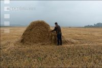 Regen in der Erntezeit 2