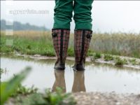 Regenperiode im Juni 2