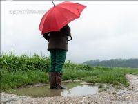 Regenperiode im Juni 1