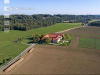 Rübenernte Au 05