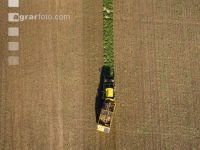 Sugar beets harvest 198